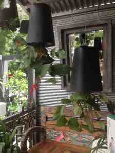 Upside down pots greet customers at Brookfield Garden Centre in Qld.